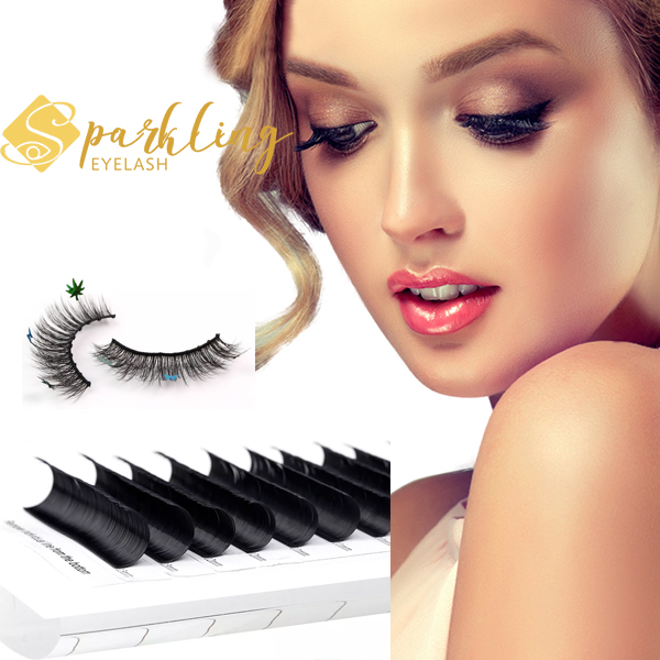 Strip lashes หรือ ต่อขนตา แบบไหนดีกว่ากัน?