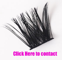เนรมิตลุคที่สวยงามด้วย Lash Clusters และการต่อขนตาแบบฟูฟ่อง